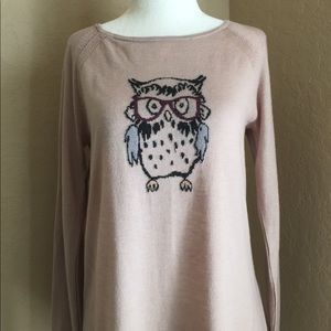 Ann Taylor Lightweight Owl Sweater